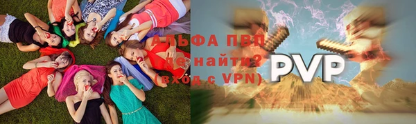 дмт Каменногорск
