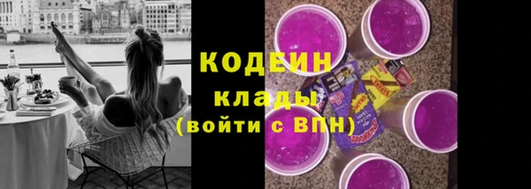 дмт Каменногорск