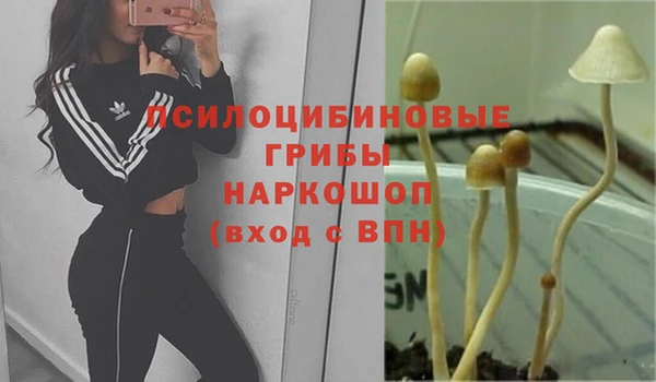 каннабис Каменск-Шахтинский
