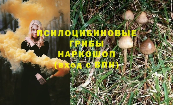 дмт Каменногорск