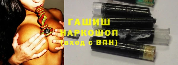 дмт Каменногорск