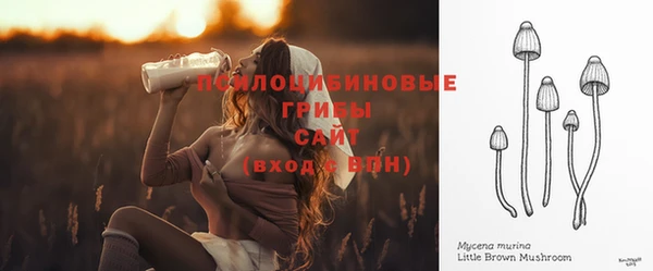 дмт Каменногорск