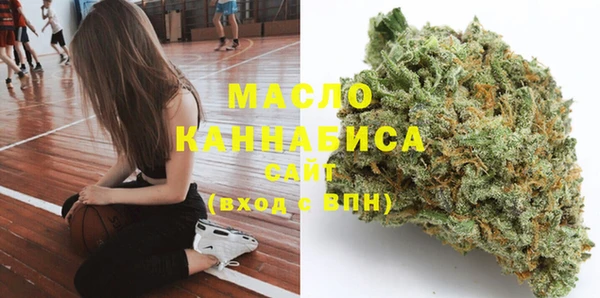 дмт Каменногорск